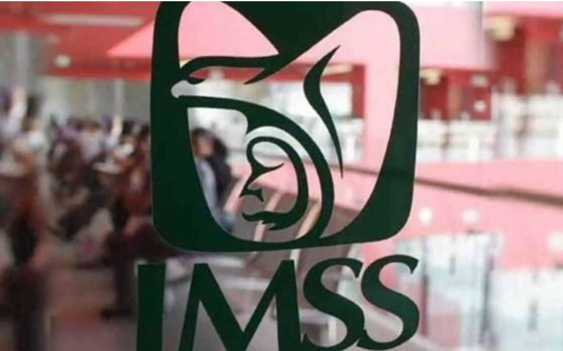 Captura imss